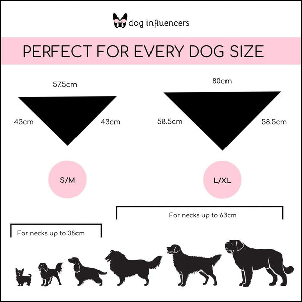 Valentine Dog Bandana, Miss Melt Your Heart, Dog Gift, Cute Bandana for Female Pet
