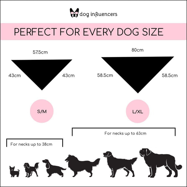 Valentine Dog Bandana - Single AF - Funny Bandana for Pet - Valentine Day