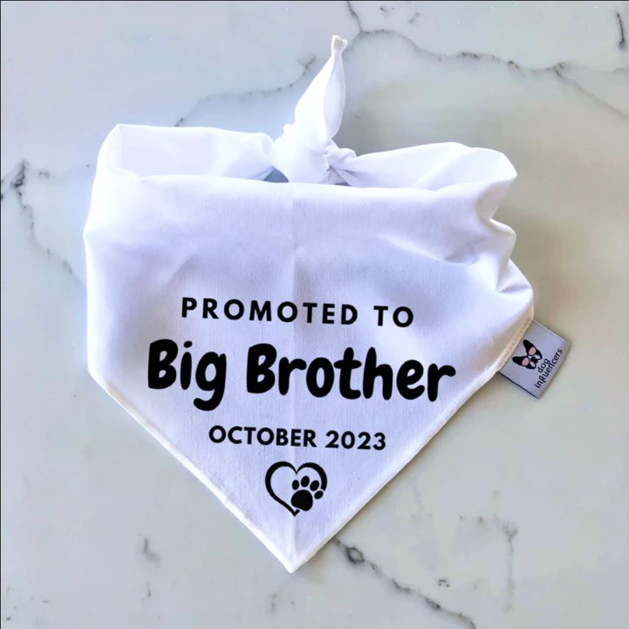 Pregnancy Announcement Dog Bandana - Customisable Due Date - Big Brother