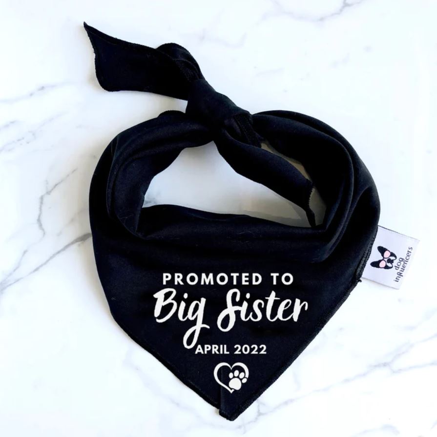 Pregnancy Announcement Dog Bandana - Customisable Due Date - Big Sister