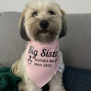 Pregnancy Announcement Dog Bandana - Customisable Due Date - Big Sister