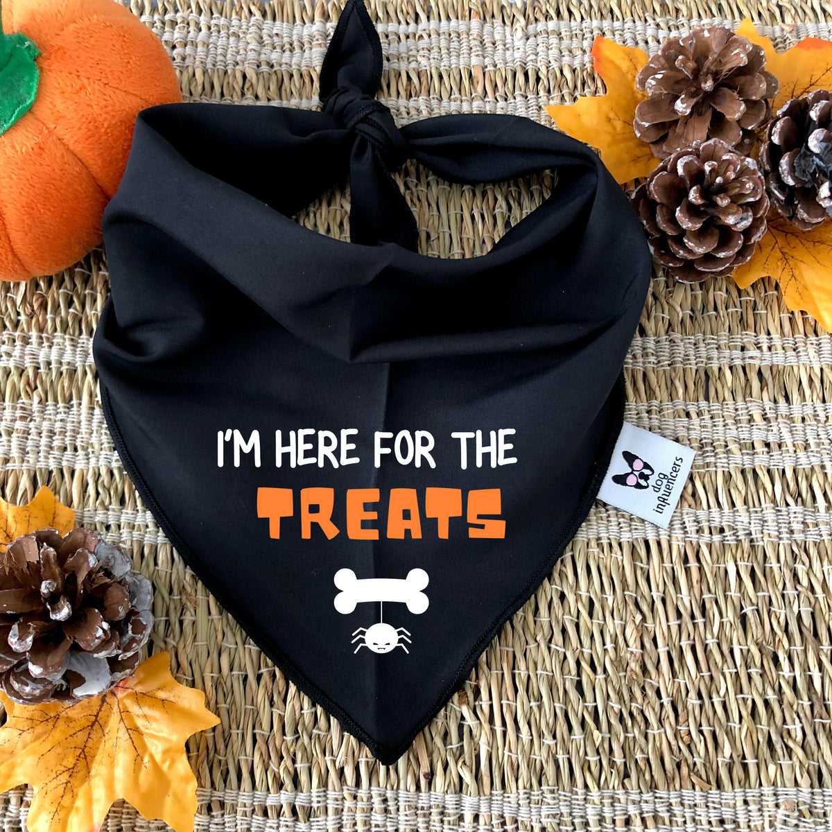 Halloween Dog Bandana - I'm here for the Treats