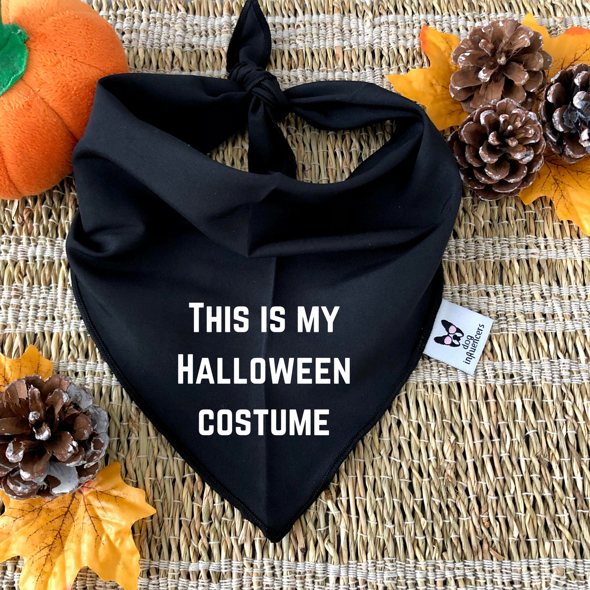 Halloween Dog Bandana - This is my Halloween Costume