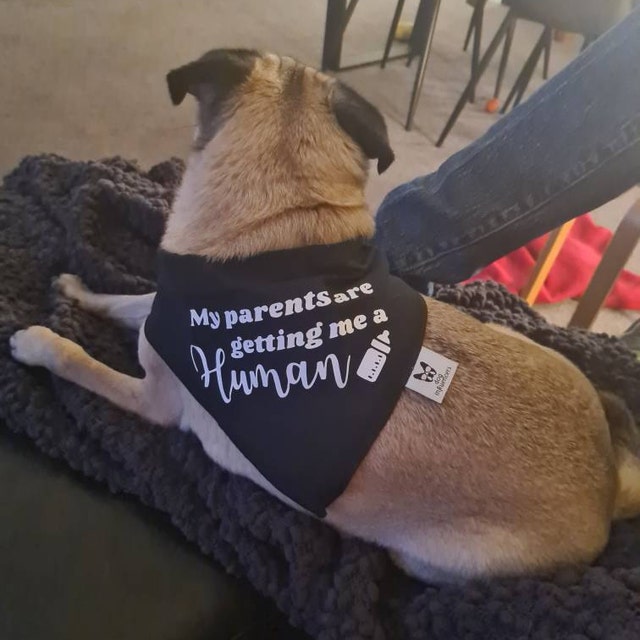 Pregnancy Announcement Dog Bandana - Customisable Due Date - My Parents are Getting me a Human
