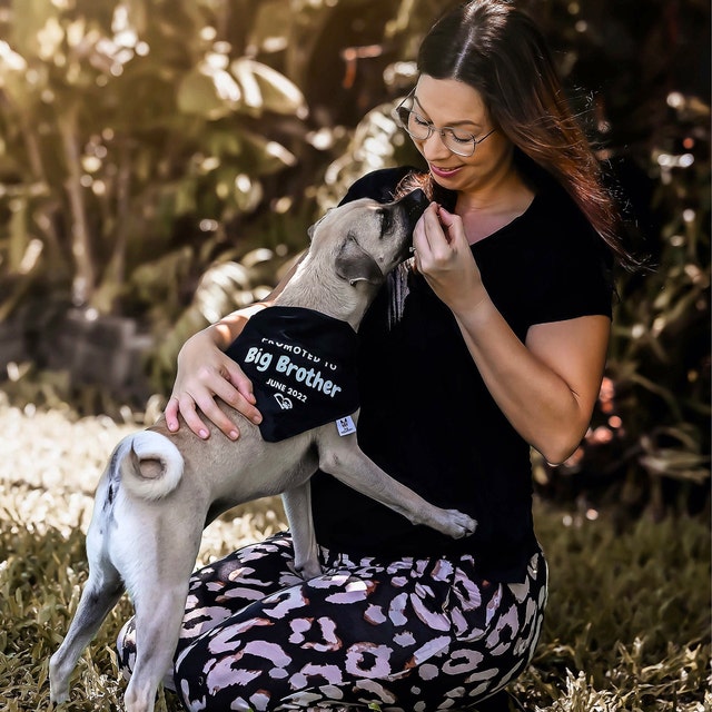 Pregnancy Announcement Dog Bandana - Customisable Due Date - Big Brother