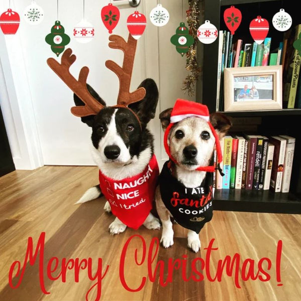 Christmas Dog Bandana - Naughty, Nice, I tried - Red & White Bandana - All Sizes
