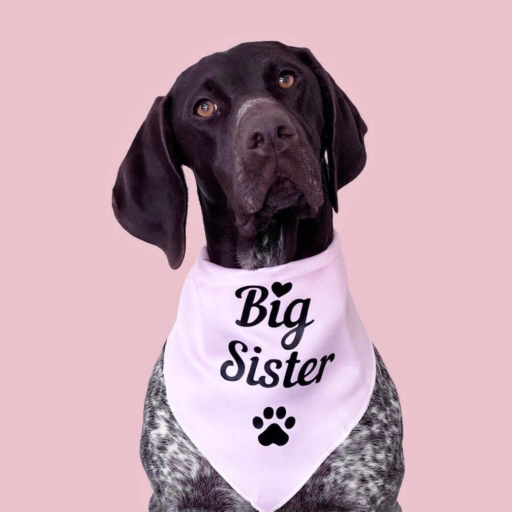 Dog Bandana - "Big Sister" - Pregnancy Announcement - Baby Shower gift