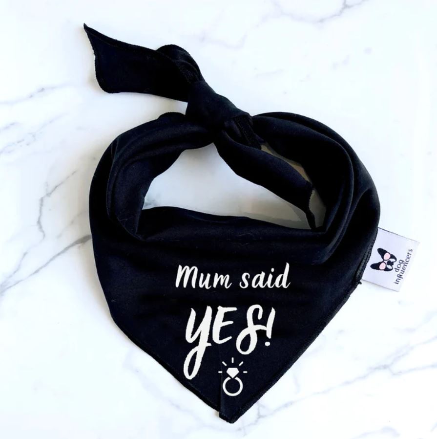 Dog Bandana - Engagement announcement - Mum Said Yes